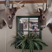 Phil Hooper Photo 38
