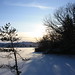 Stephen Wester Photo 15