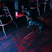 Michele Weiner Photo 14