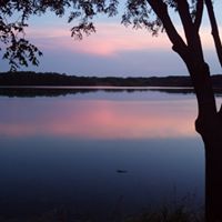 Cheri Erickson Photo 12