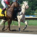 Gregory Elliot Photo 13