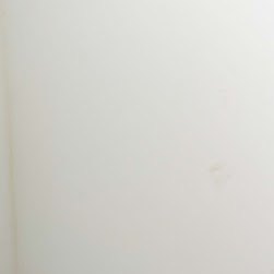 Elizabeth Candido Photo 16