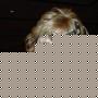Sue Stiles Photo 17
