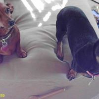 Connie Long Photo 18