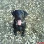 Steve Carpenter Photo 30