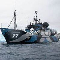 Thomas Swan Photo 37
