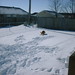 Casey Wells Photo 30