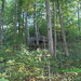 Howard Collier Photo 29