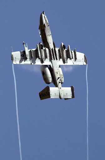 Dana Carpenter Photo 27