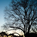 Shelley Akers Photo 18