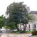 Walter Tuttle Photo 16