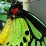 Joyce Perdue Photo 21