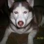 Michael Taggart Photo 22