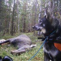Michael Lundquist Photo 10