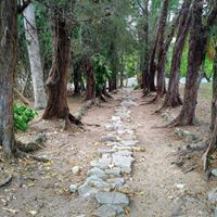 Elizabeth Robison Photo 15
