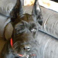 Ruthie Lee Photo 12