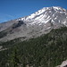 Shasta Gray Photo 10