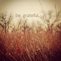 Donna Wolff Photo 25