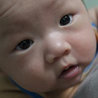 Dinh Trinh Photo 21
