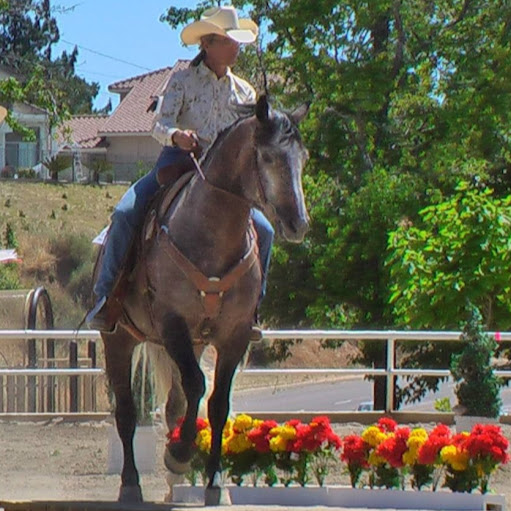 Jodi Wilson Photo 38