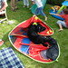 Gilbert Howell Photo 3
