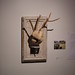 Laurie Fitzpatrick Photo 17