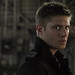 Dean Jensen Photo 39