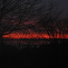 Rebecca Allred Photo 22