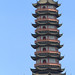 Shan Zhao Photo 31