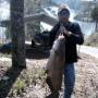 Nathaniel Dodson Photo 16