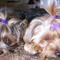 Rocky Rhoads Photo 10