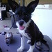 Cyrus Bailey Photo 2