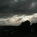 Tom Weathers Photo 11