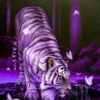 Jeanne Wolfe Photo 22