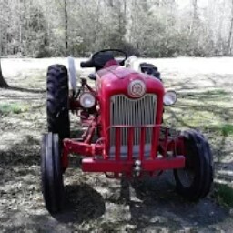 Dennis Proctor Photo 27