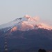 Michael Butto Photo 11