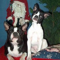 Aimee Lombardo Photo 9