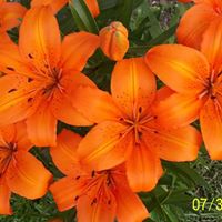 Jan Yoder Photo 17