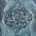 James Woodford Photo 14
