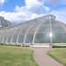 Richard Kew Photo 13