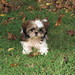 Frances Spitz Photo 4
