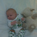 Nora Lamb Photo 6