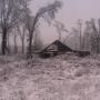 Dennis Tanis Photo 13
