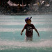 Winston Liu Photo 28