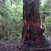 Douglas Harms Photo 18