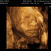 Marcus Norman Photo 24