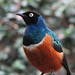 Elizabeth Starling Photo 24