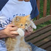 Bruce Held Photo 8