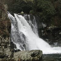 James Shotts Photo 22