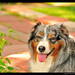 Mike Schaefer Photo 26
